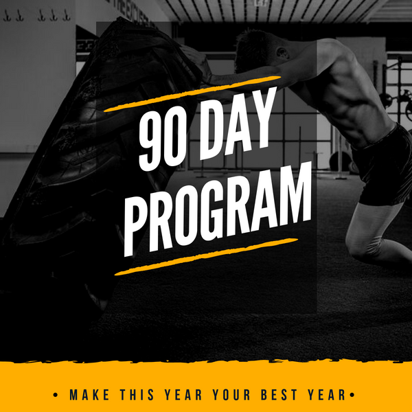 90 Day Program